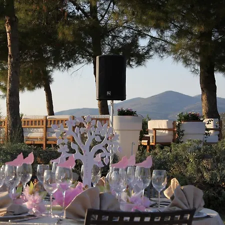 Enalion Suites